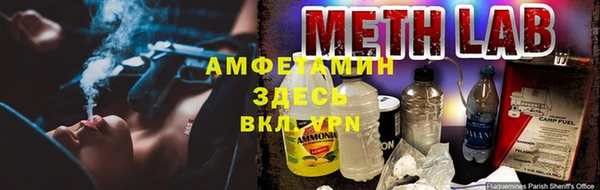 PSILOCYBIN Осинники