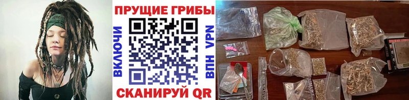 наркошоп  Западная Двина  Галлюциногенные грибы Magic Shrooms 